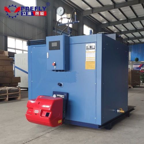 立浦熱能500kg燃氣蒸汽發(fā)生器 高效熱能設(shè)備助力工業(yè)清洗