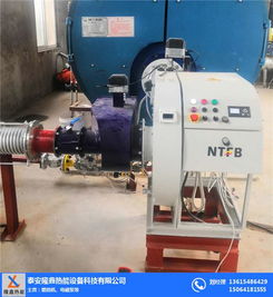 低氮燃燒機與隆鑫熱能設(shè)備 高效環(huán)保的機電設(shè)備解決方案